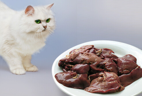 getty_rm_photo_of_cat_looking_at_liver